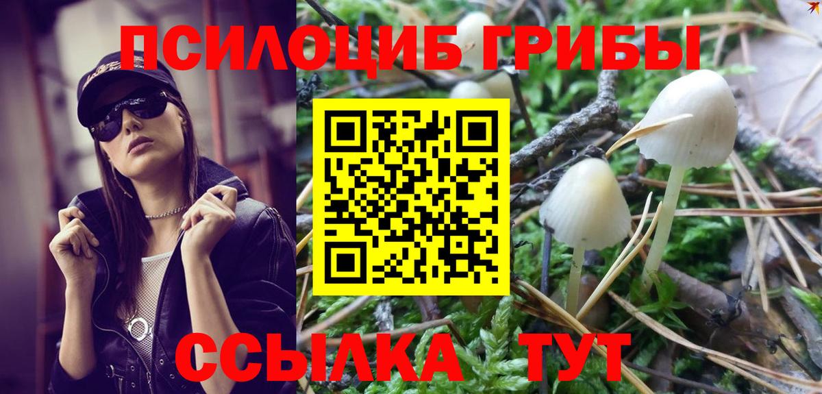 Псилоцибиновые грибы GOLDEN TEACHER Жуковский